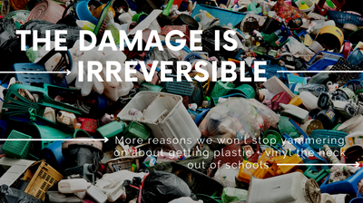 The Damage From Plastic is Irreversible